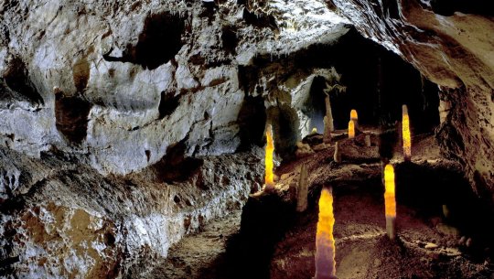 sloupsko-sosuvske-jeskyne-01.61ae6939.jpg